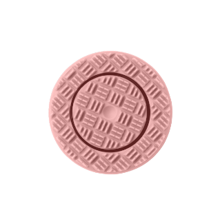 ageLOC LumiSpa iO Rose Gold Silicone Head