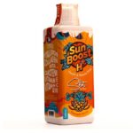 SunBoost